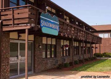 Shadowbrook